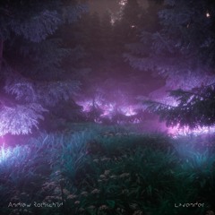 Andrew Rothschild - Lavender [Noiseporn Premiere]