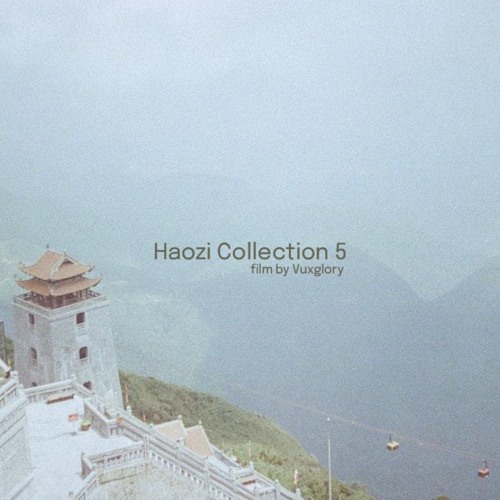 Haozi Collection 5