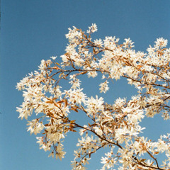 Spring snoozing