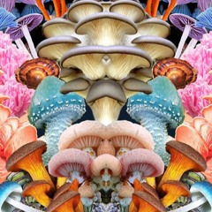 Take a Trip in the Desert