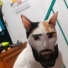 C.A.T.S._ Crash Arena Turbo Stars OST - Menu_03062024(2)