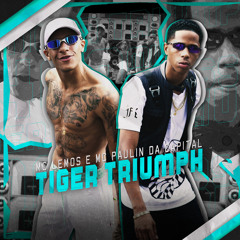 Tiger Triumph