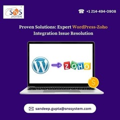 Efficient Zoho Integration Services