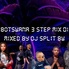 3 Step Mix 01 | Ft. Lioness Ratang, Ancestral Rituals, DJ Skizoh etc| Mixed By DJ Split BW