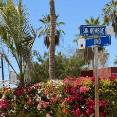 summer house 🌺🦜🥥