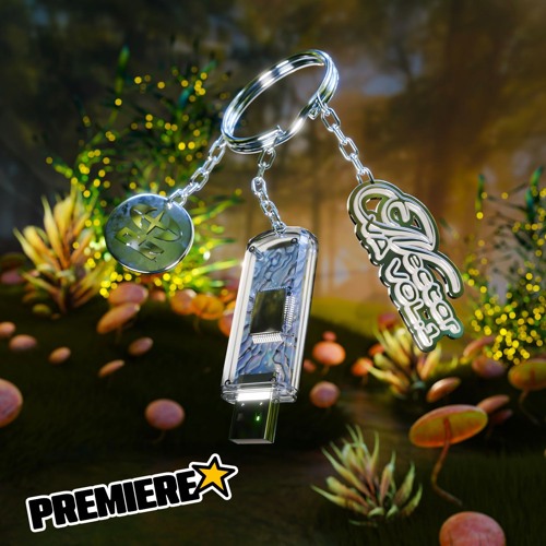 PREMIERE: Wigs - Pacific 98 [NECTAR VOL.1]