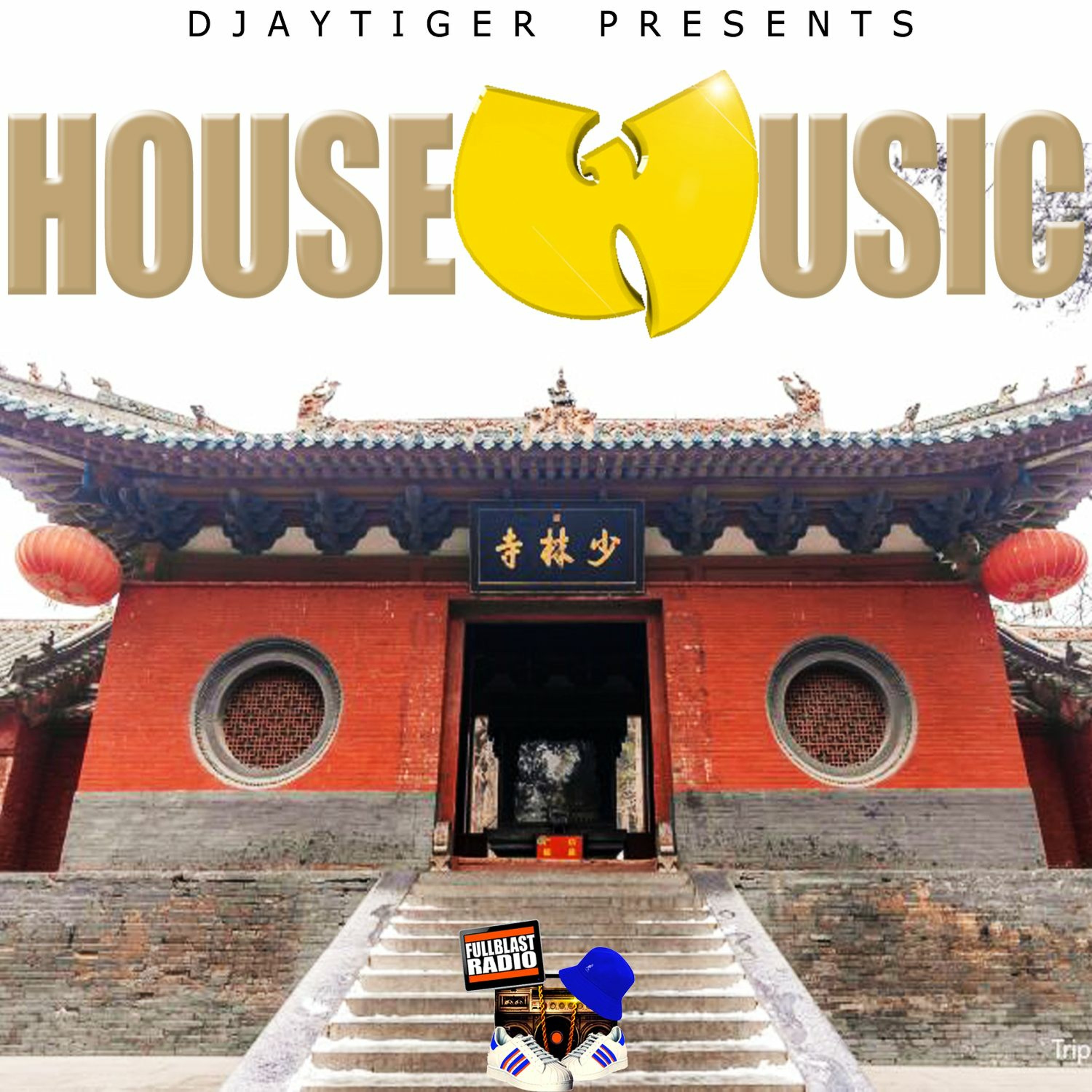 Dj Tiger
