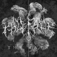 Paleface Swiss  - The Rats (feat. Clench Your Fist)