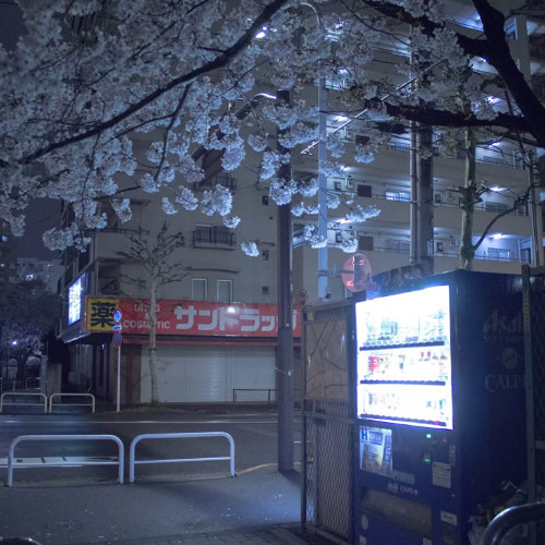 Dexter x Watching the stars