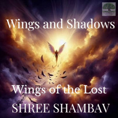 A11 - 07 - Wings of the Lost