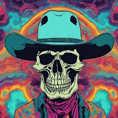 Acid Cowboy