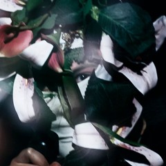 Introduction to Me, Myself, an Eye