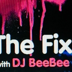 The Fix  EP 016 House & Techno