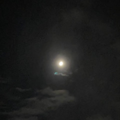 u dk how 2 feel what i feel prod jadorekiio