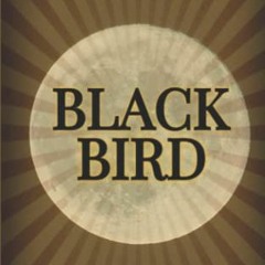 Download pdf Blackbird: An Unexpected Journey to Unearth my True Connection to God by  Topher Pike