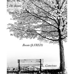 Boom (ft. FRED with Concious)