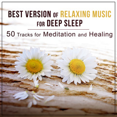 Quiet & Peaceful Music for Relax