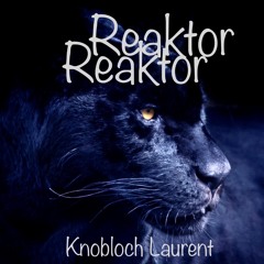 Reaktor