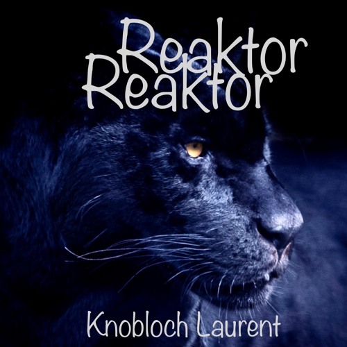 Reaktor