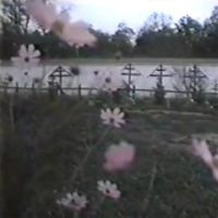 [free for profit] archivecore type beat - "grave"