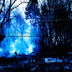 Bands Up (prod. ayocarie + ok)