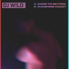 PREMIERE: DJ W!LD - Sunshine Coast Dub [Bandcamp Exclusive]