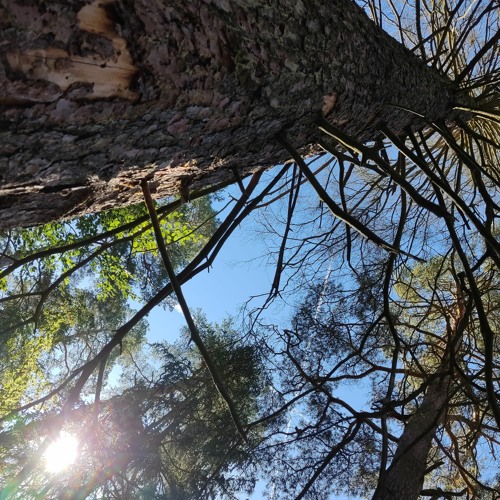 Abspann/ Einstieg Techno