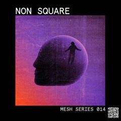 Mesh Series 014: Non Square