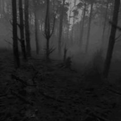 forest, psy, twillight night, psy night