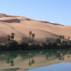 DESERT MIRAGE  Ian Parker