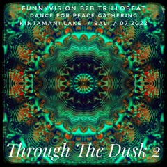 Through The Dusk 2/ Dance For Peace Gathering/ Bali 07.22/ Trillobeat b2b FunnyVisioN(WAV Download)