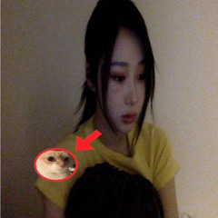 Ripslimetroops - Im bool