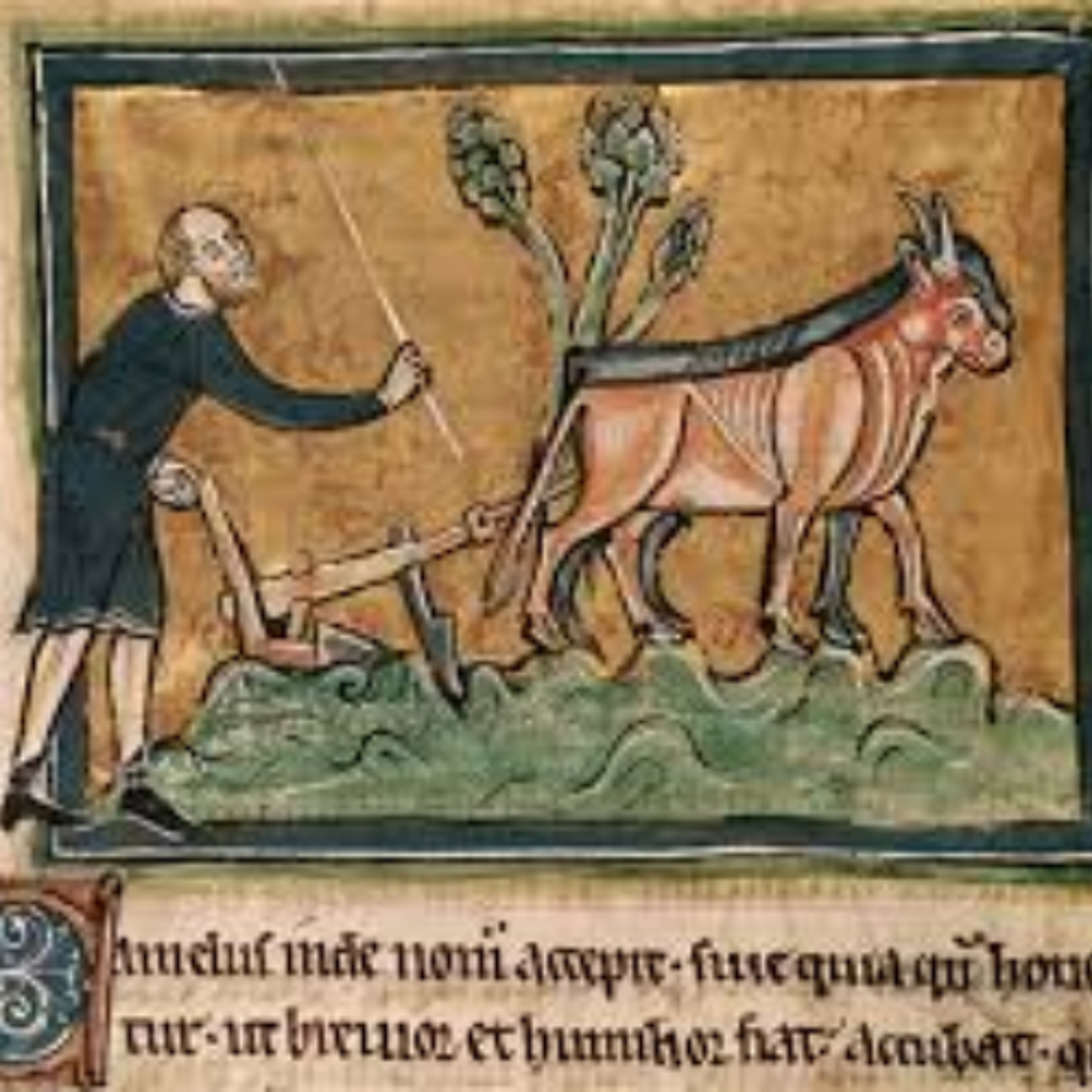 H1 M4 Middeleeuwen en klimaatverandering