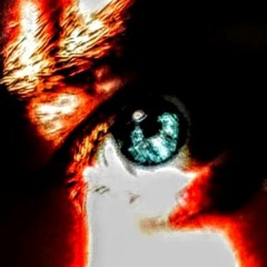 Look inside your eye's