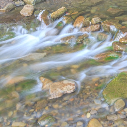 Water Element Meditation: Flow & Restore