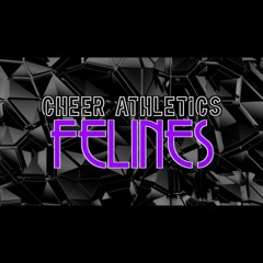 Cheer Athletics Felines 2024-2025