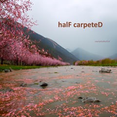 halF carpeteD [naviarhaiku514]