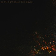 as the light soaks into leaves