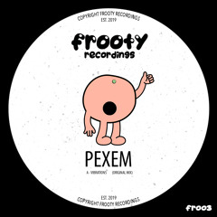 FR003 - Pexem - Vibrations (Original Mix)