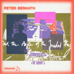 LÄRMCAST 021 - Peter Bernath and the Angle of the Incident Ray