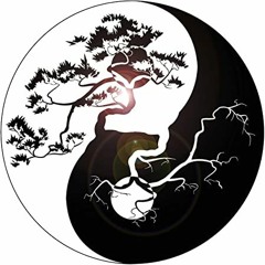 Yin Yang - D-low