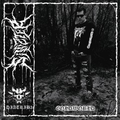 ColdWorld (prod. Plague)