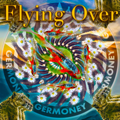 Flying Over (prod. Ric & Thadeus)