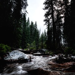 Songs from U.S Nationals