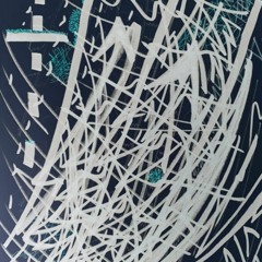 found my cat dead in the laundry room