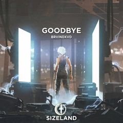 BRVINDXVD - Goodbye (Radio Edit)