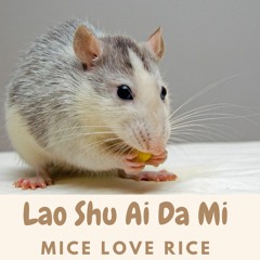 Lao Shu Ai Da Mi (Mice Love Rice)