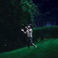 Summer Night -  Irina G. Popov