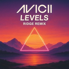 AVICII - Levels (RIDGE REMIX)