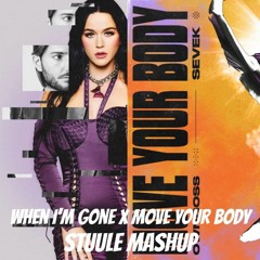 Alesso & Katy Perry Vs. Öwnboss & SEVEK - When I'm Gone X Move Your Body (Stuule Mashup)